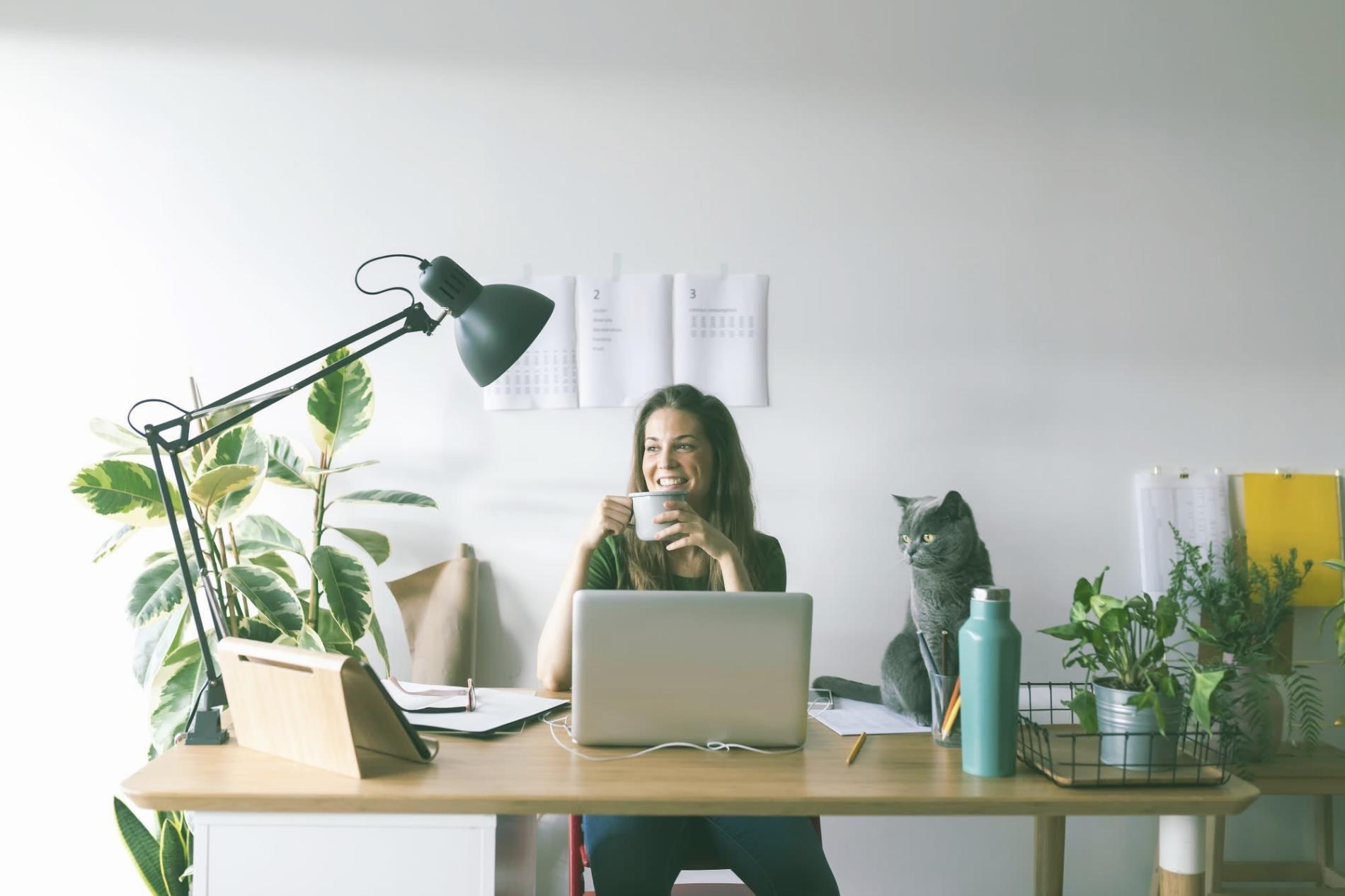 Risorse educative keyword research